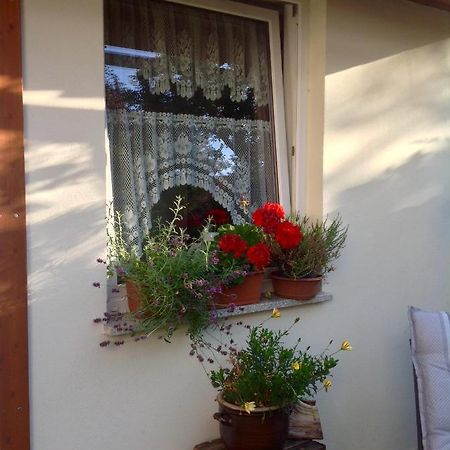 Am Mathildenbrunnen Klein Apartman Quedlinburg Kültér fotó