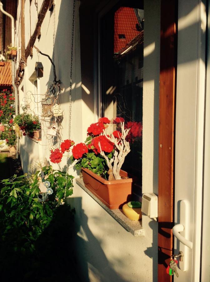 Am Mathildenbrunnen Klein Apartman Quedlinburg Kültér fotó