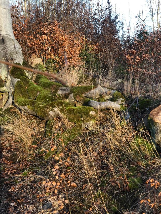 Am Mathildenbrunnen Klein Apartman Quedlinburg Kültér fotó