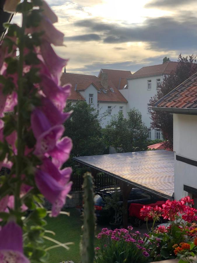 Am Mathildenbrunnen Klein Apartman Quedlinburg Kültér fotó