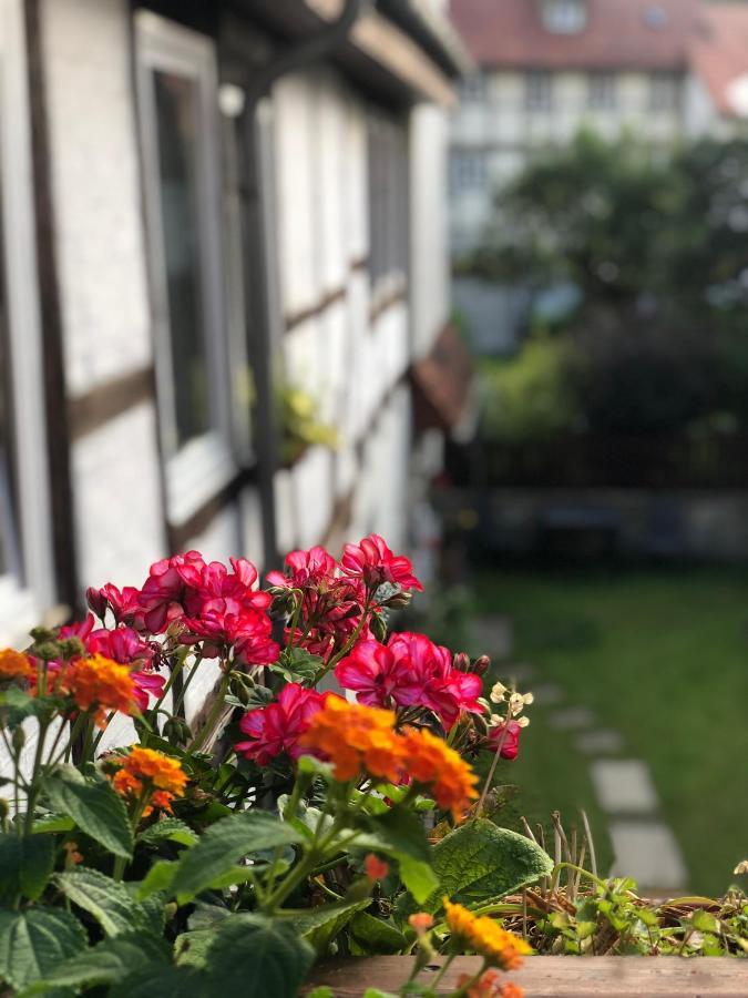 Am Mathildenbrunnen Klein Apartman Quedlinburg Kültér fotó